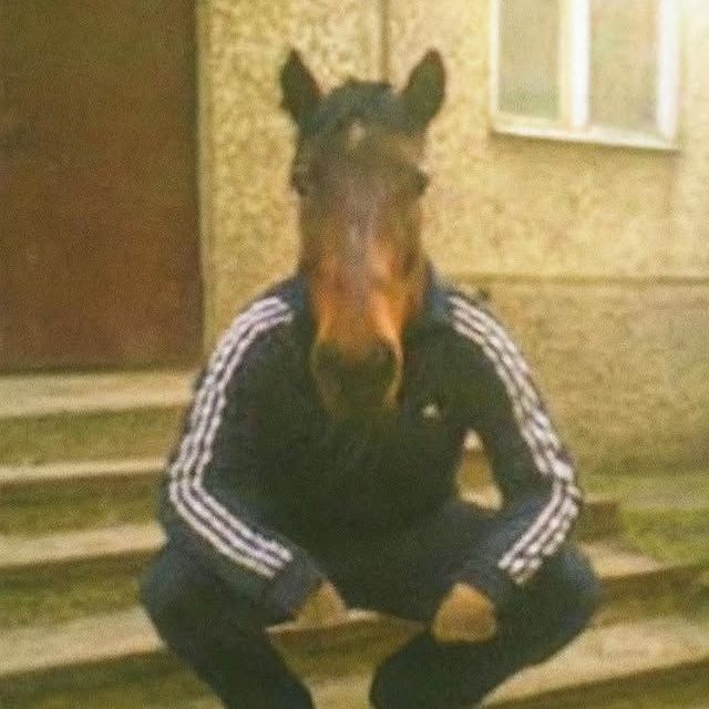 _alvz