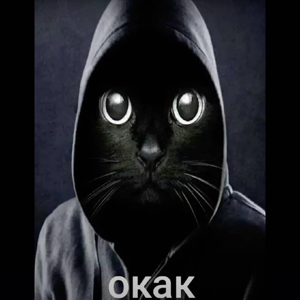 O_KaaaK avatar