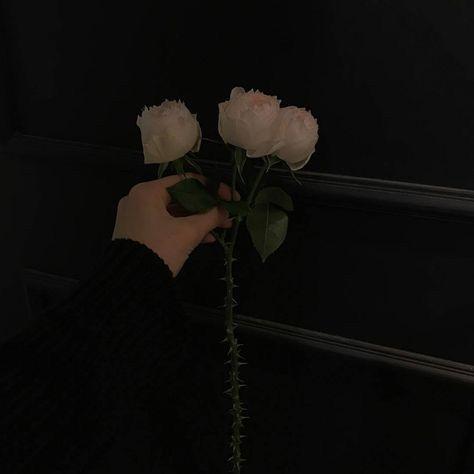 Cxll_ avatar