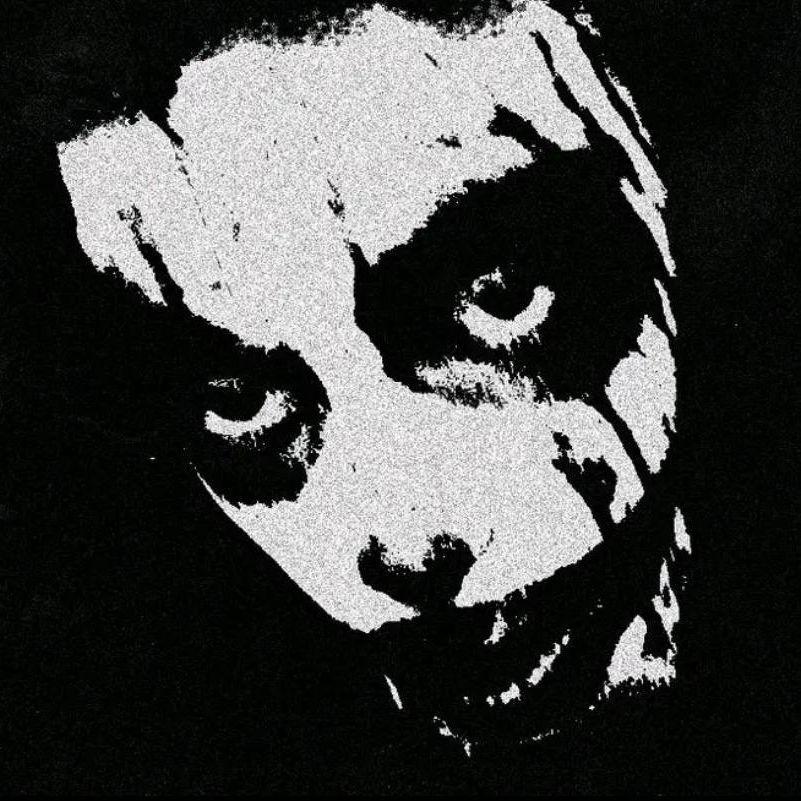 settryx avatar