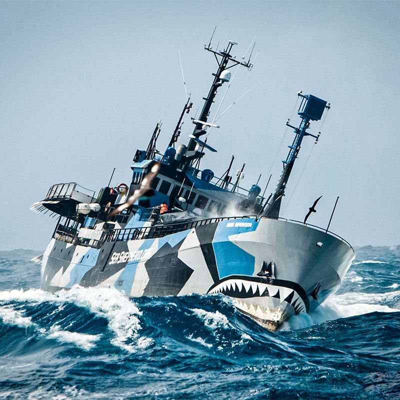 Sea_Shepherd