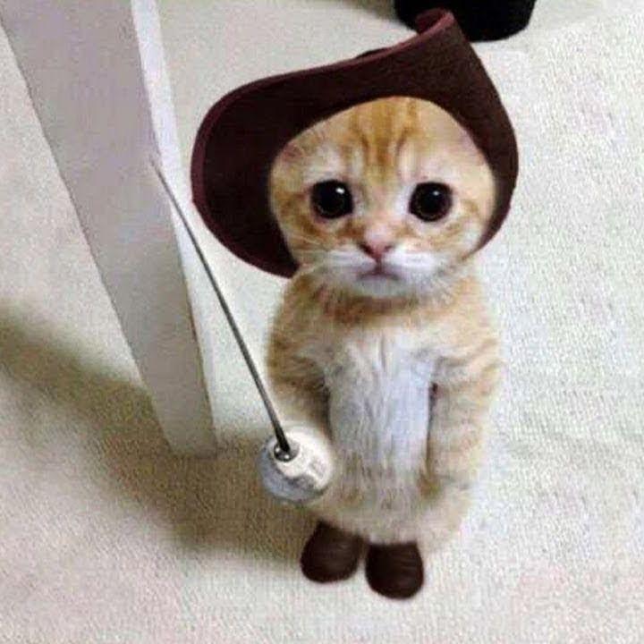 -_-shtikeri avatar