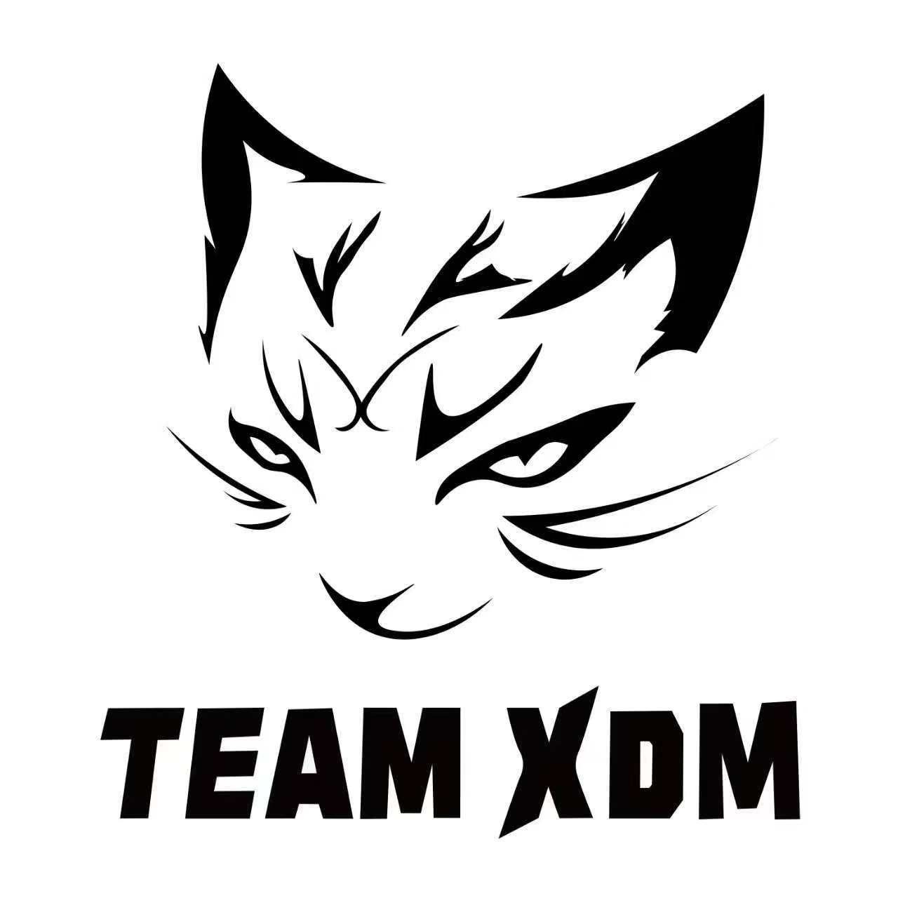 TEAM XDM