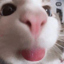 roxybae avatar