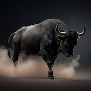 BL4CKBULL avatar