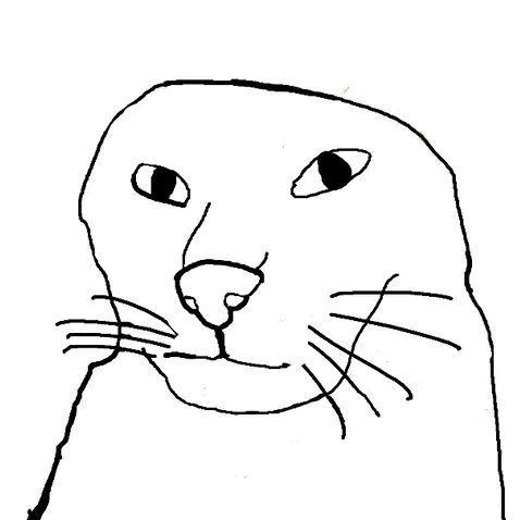 SaladTomato avatar