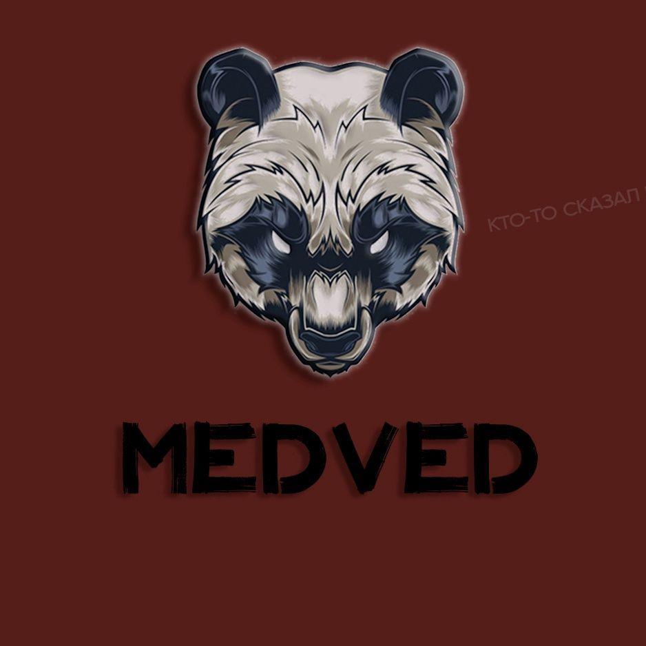 MEDVED_GG avatar