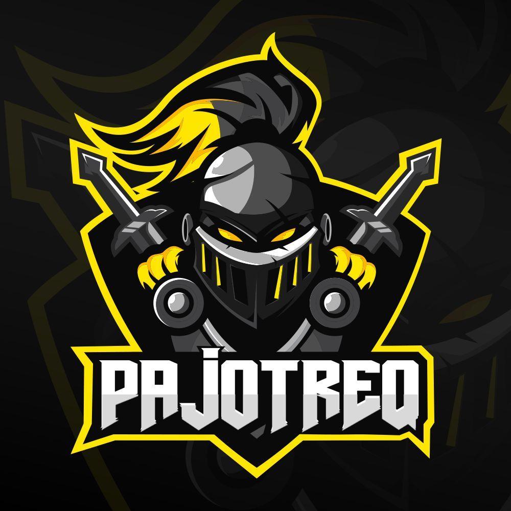 Player PajotreQ_ avatar