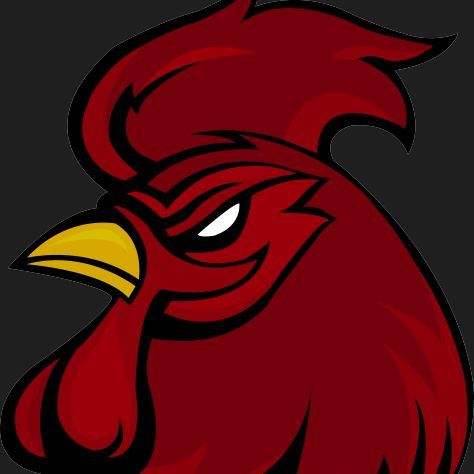 USC Gamecocks