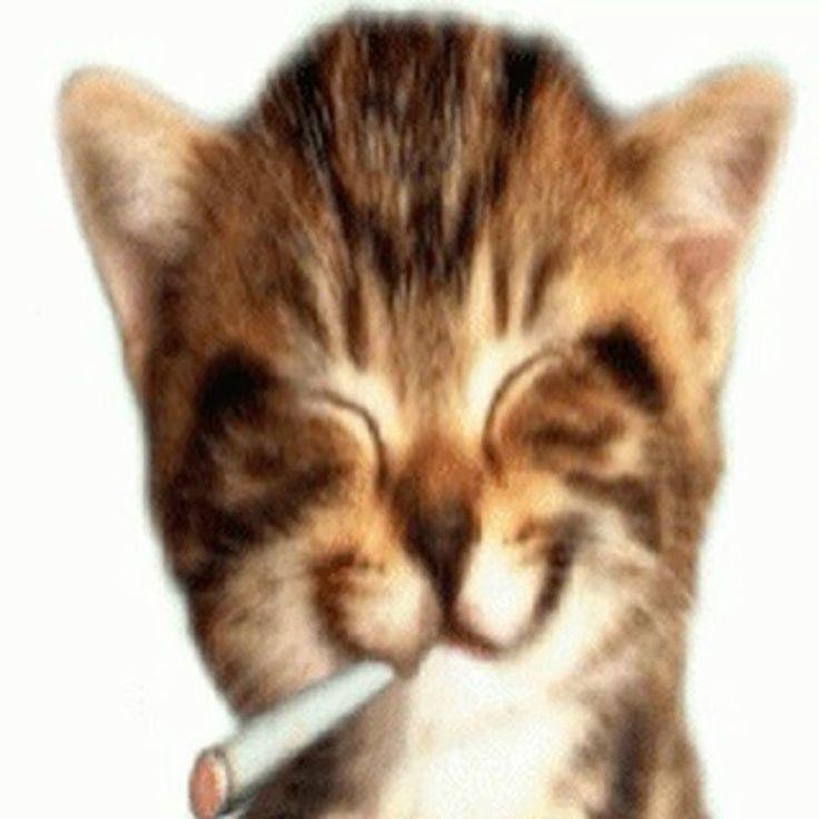 SM33RTb avatar