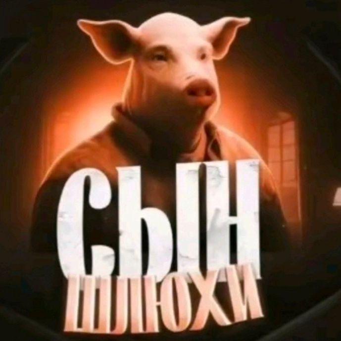 gavnopetuh avatar