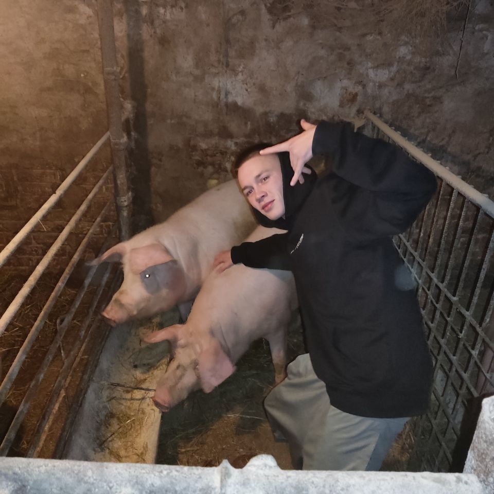 Faceit avatar