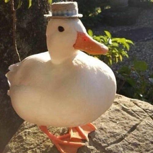NieKuCzi avatar