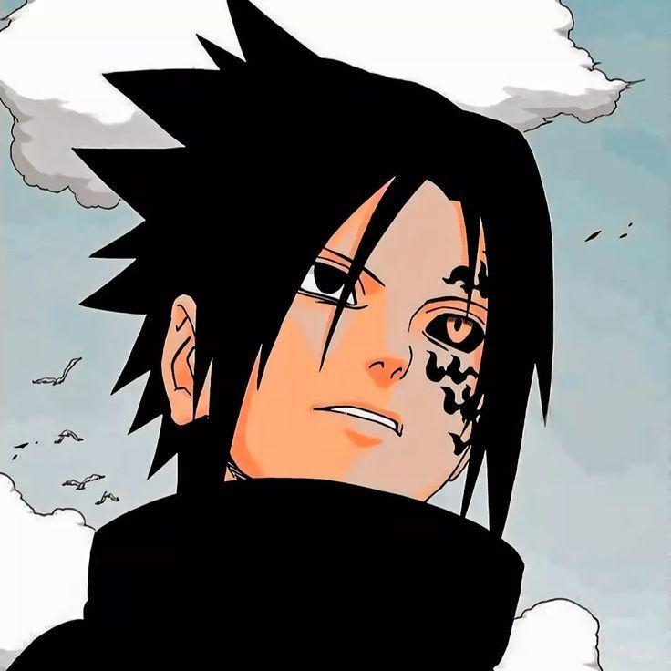 -ricotta avatar