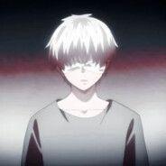 saelo337 avatar