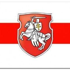 stchetina avatar