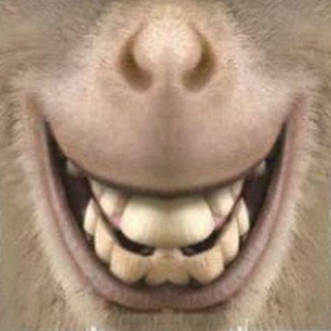 Encouplex avatar