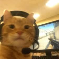 MstEmk avatar