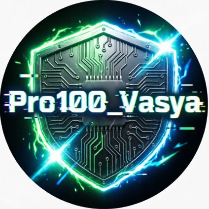 team_Pro100_Vasya
