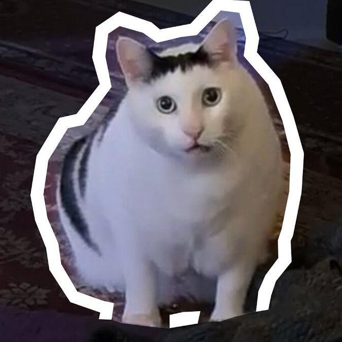 hkdiego avatar