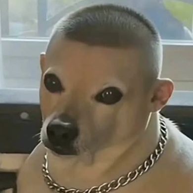 Chlenixas FACEIT avatar