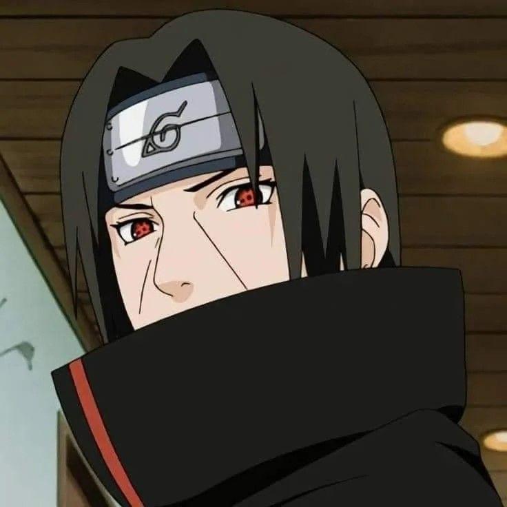 imba1111 avatar