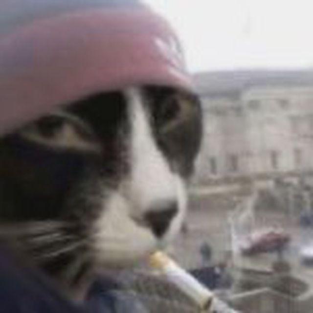 duppyyy66 avatar