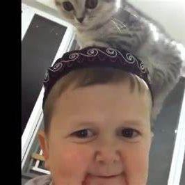 samohaSpb