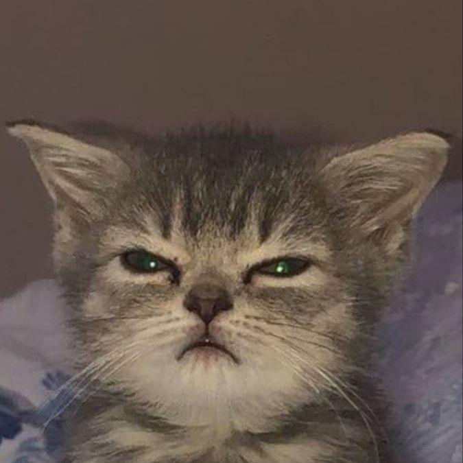 Puhla228 avatar