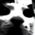 Faceit Avatar