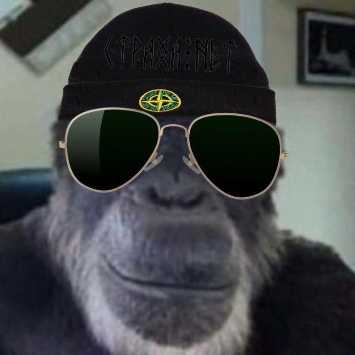 Dazy14 avatar
