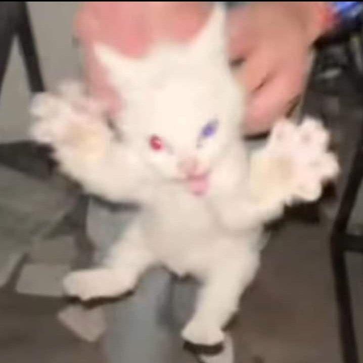 -Thxxwwwbtw