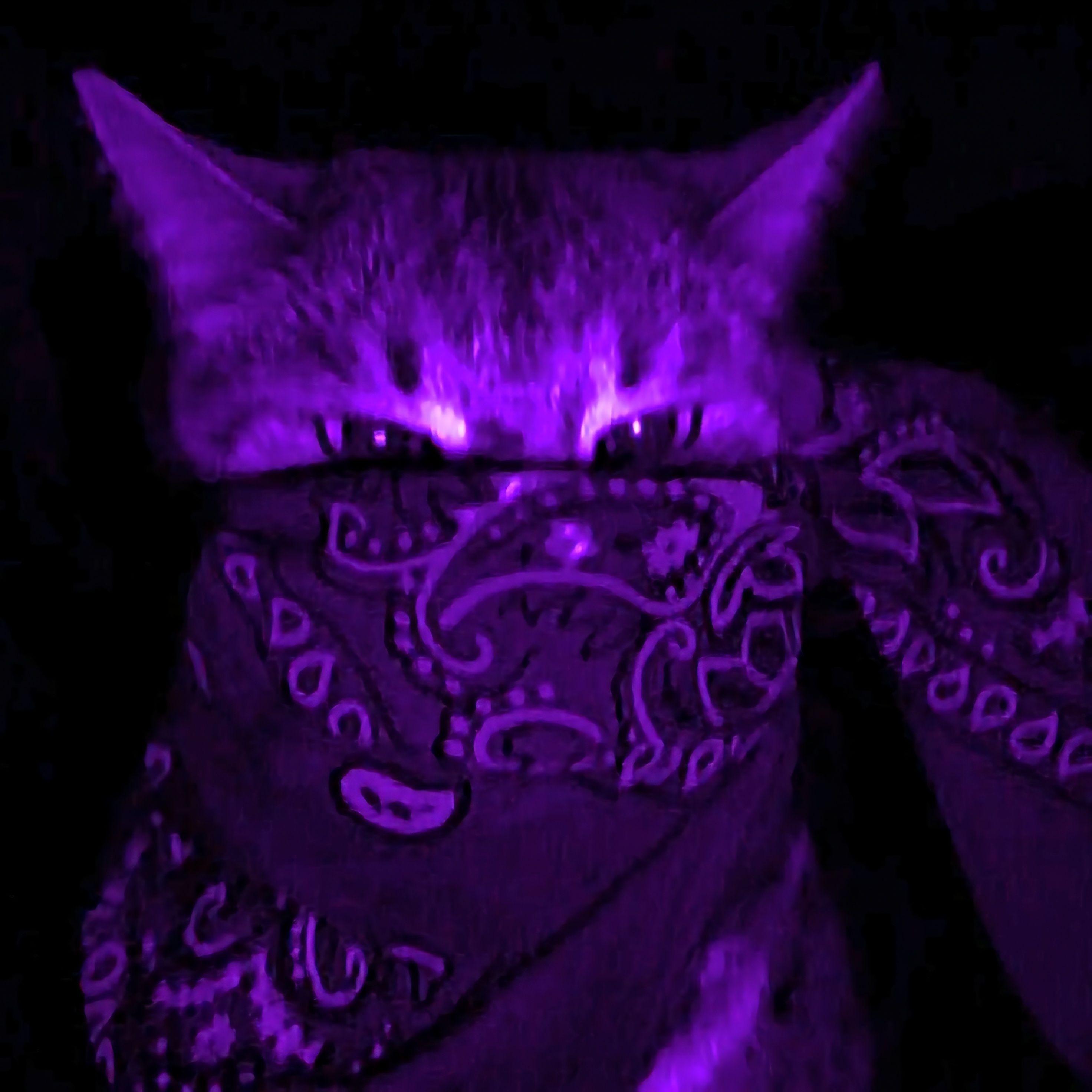 sigvie avatar