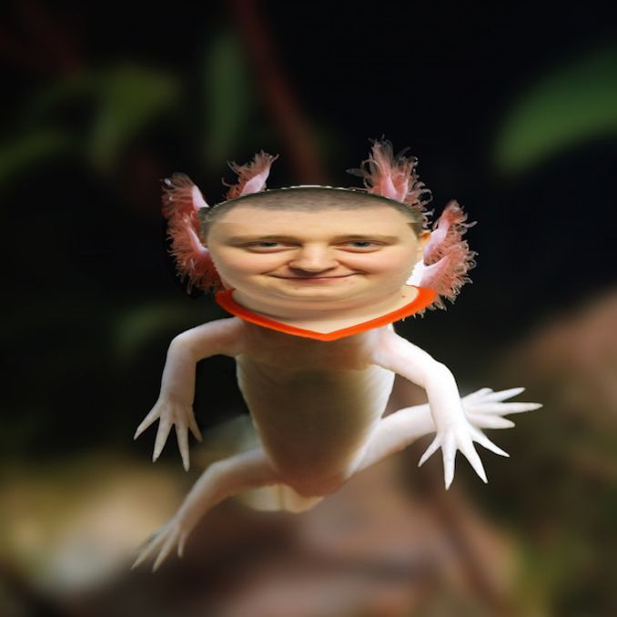 PREDVLOTL