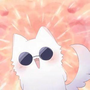 Mr_Totoro123 avatar