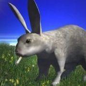 chtonuzhno avatar