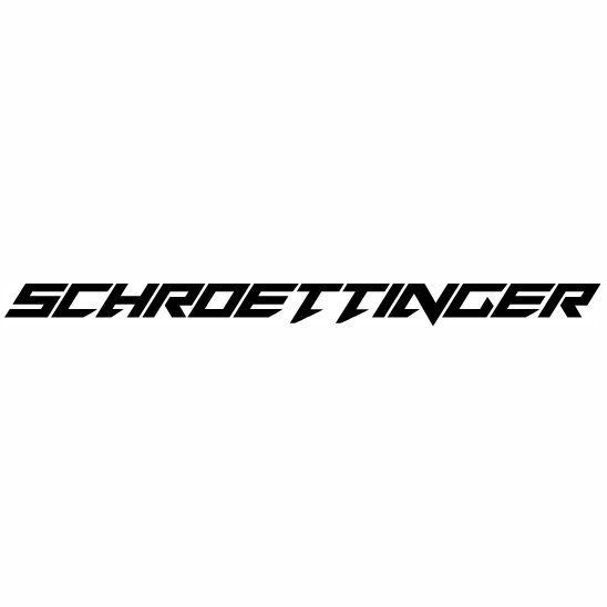 Player schrottinger avatar