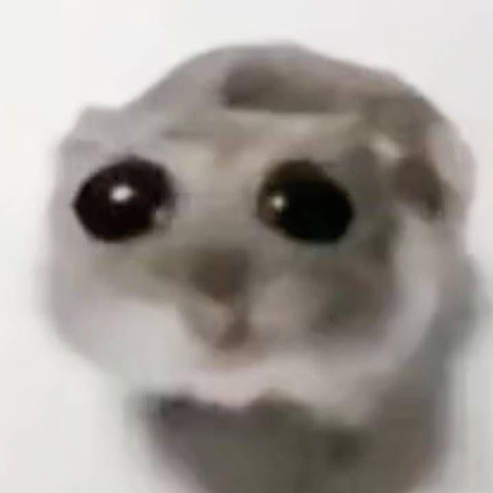 Maximka avatar