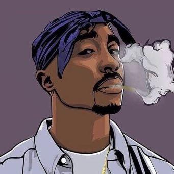 28in4 avatar