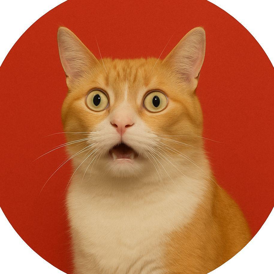 tungshagur avatar