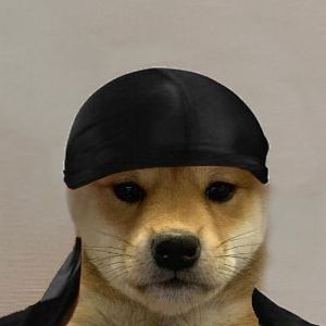 Faceit avatar