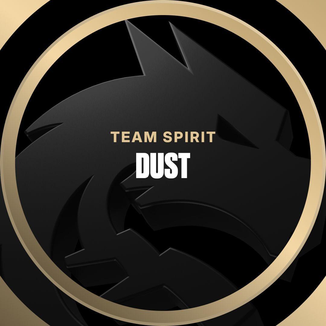 Dustyyy228 avatar