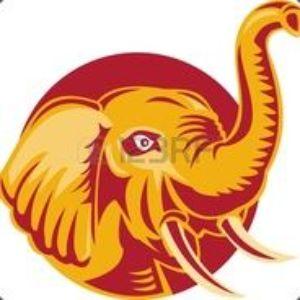 SuckSloniKKK avatar