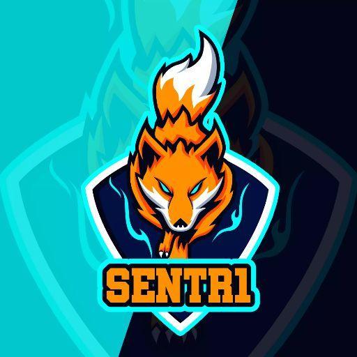 Player xSentr1 avatar