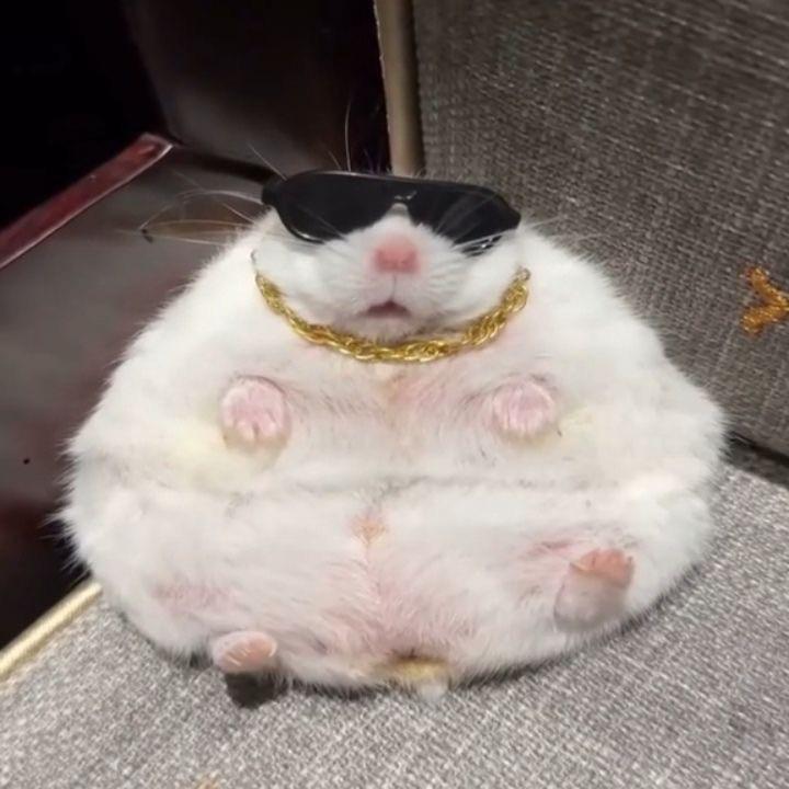 ka1wo avatar