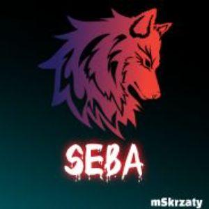 Player S3b1Q avatar