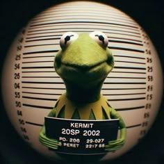 Leafs FACEIT avatar