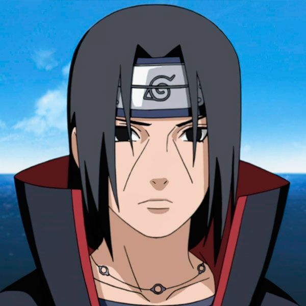 siqt456 avatar