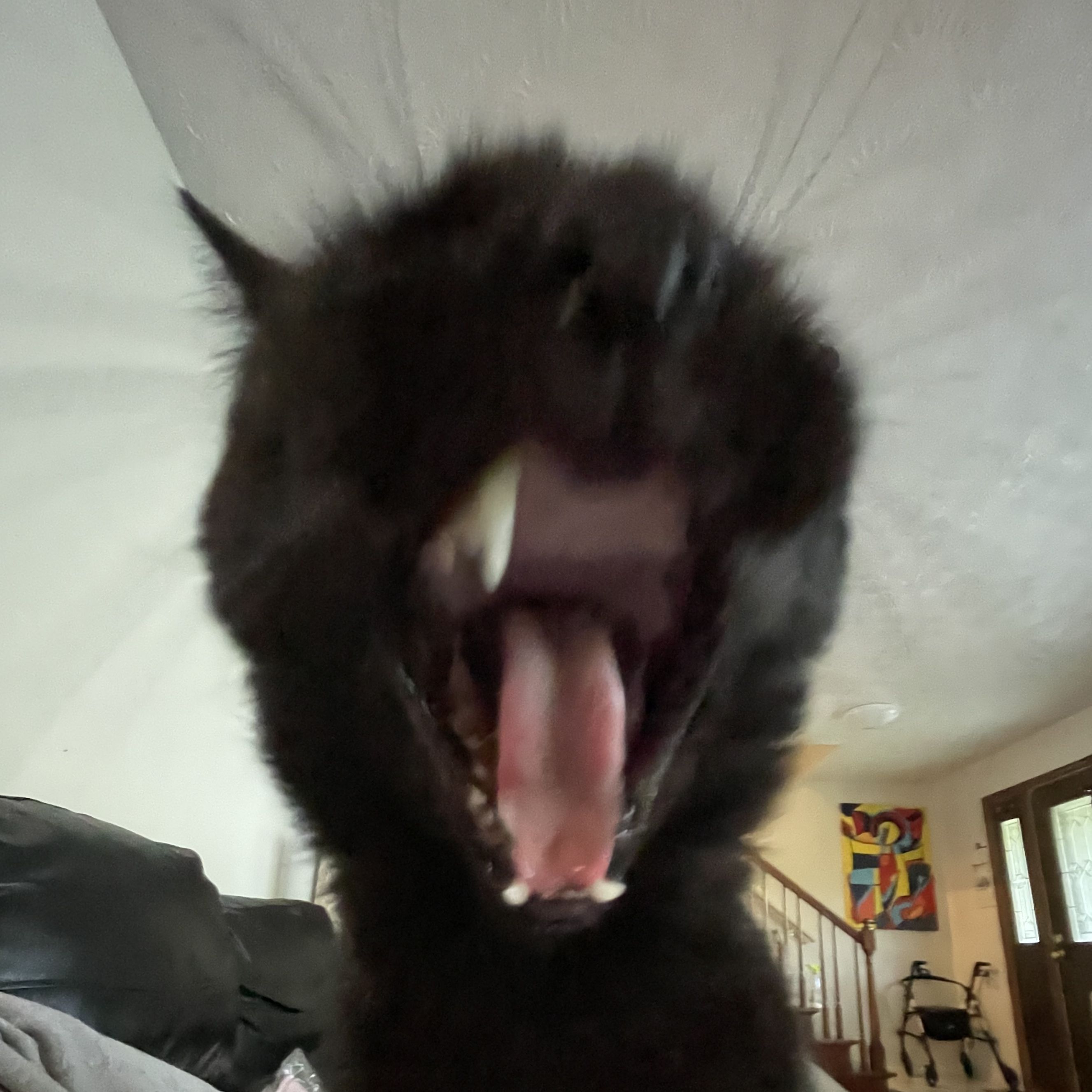 bruhdget