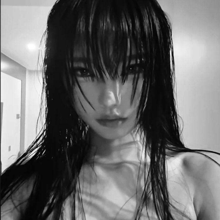 -donic avatar